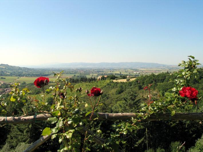 Hostal Castel D'Arno Perugia Exterior foto